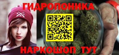 прущие крисы Жуковский