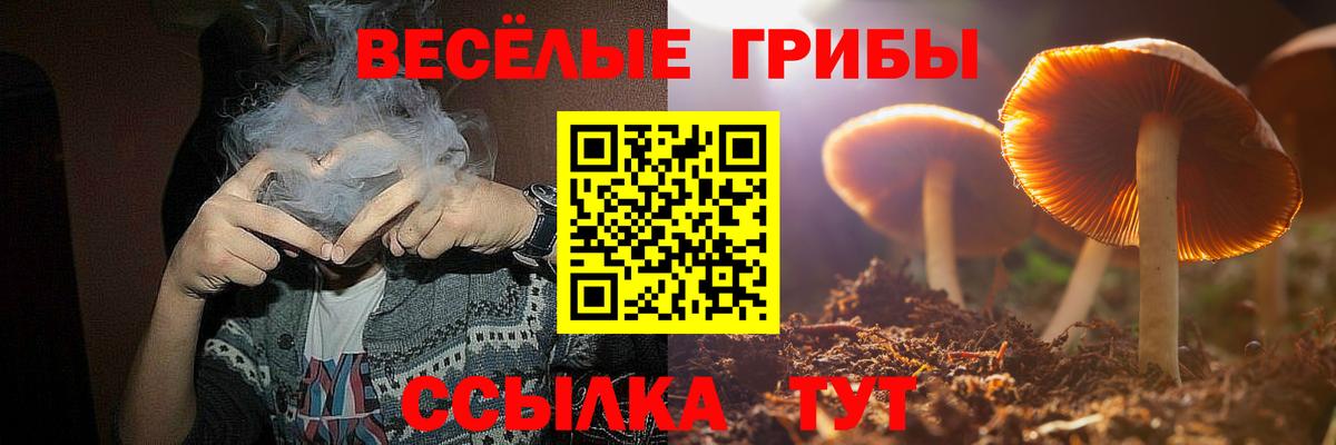 Псилоцибиновые грибы ЛСД  Вход с VPN  Тара 